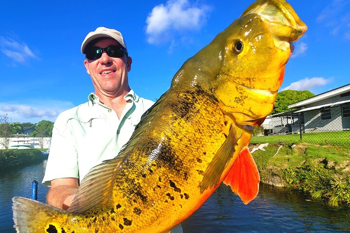 Florida Peacock Bass